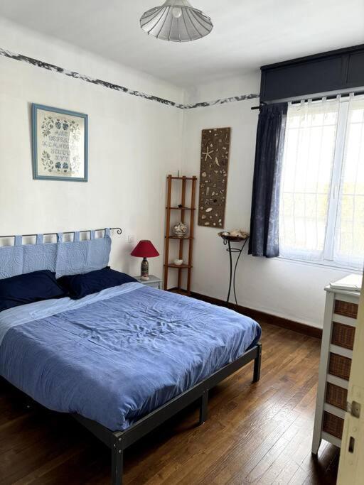 Appartement Sabatier T4 Avec Terrasse Et Jardin Carcassonne Exteriér fotografie