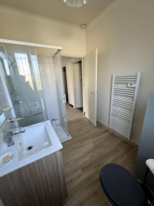 Appartement Sabatier T4 Avec Terrasse Et Jardin Carcassonne Exteriér fotografie