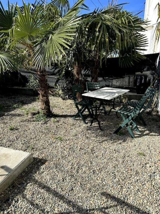 Appartement Sabatier T4 Avec Terrasse Et Jardin Carcassonne Exteriér fotografie